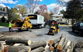 Best Arborist Consultation Services  in Onawa, IA